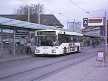 Linie 5 als Bus