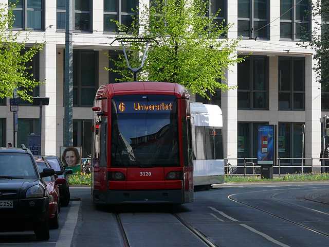 Herdentor