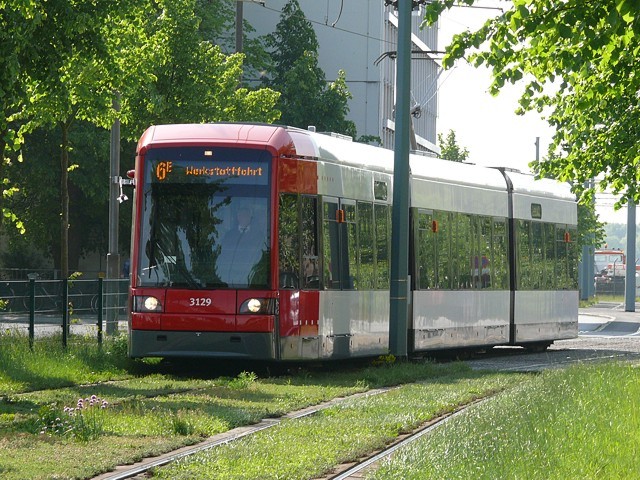 Neuenlander Feld