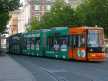 Die Werder-Bahn