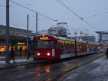 Der letzte Winter