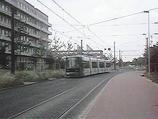 An der Universität