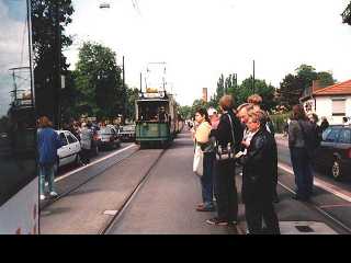 Die Molly in Horn-Lehe
