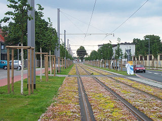 Die Georg-Bitter-Straße