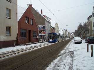 Rosenpfad
