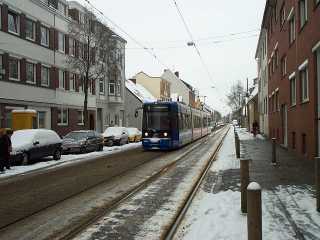 Rosenpfad