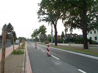 Südlich des Lehester Deichs