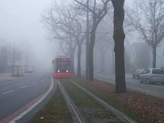 Nebel ...