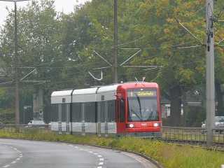 In der Julius-Brecht-Allee