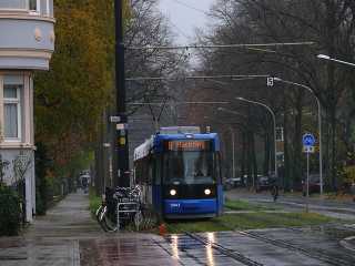 Linie 8 auf Abwegen