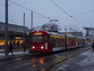 Der letzte Winter