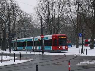 Bürgerpark