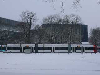 Am Bürgerpark