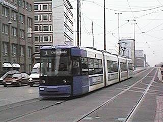 Die Brillkreuzung
