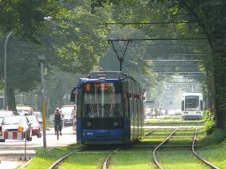 Linie 8 in der nördlichen Wachmannstraße