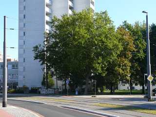 An der Walliser Straße