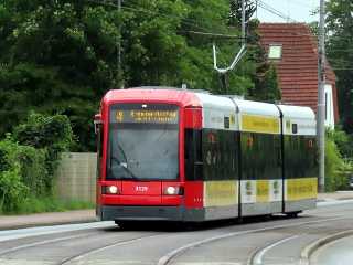 3129 3129