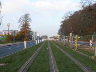 Südlich der Werner-Steenken-Straße