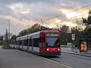 3124