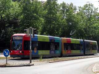 3138 3138