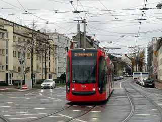 15.11.2025 15.11.2025