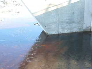 An der Flutbrücke