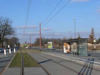 Nördlich der Werner-Steenken-Straße