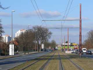 Nördlich der Werner-Steenken-Straße
