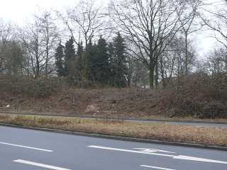 In der Borgfelder Allee