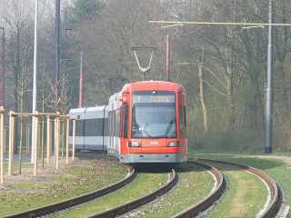 In Tenever