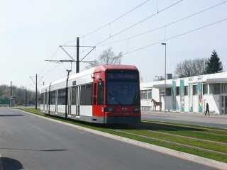 Nußhorn
